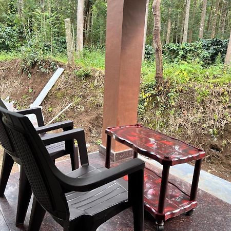 Silver Shadow Homestay Chikmagalūr Esterno foto