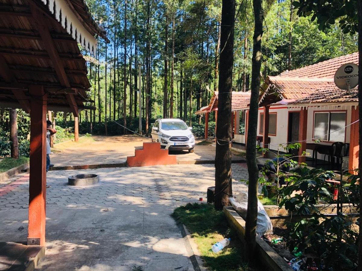 Silver Shadow Homestay Chikmagalūr Esterno foto