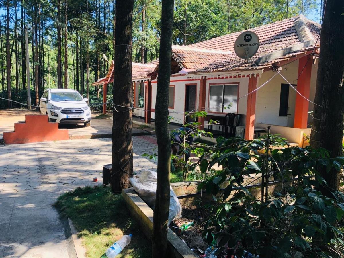 Silver Shadow Homestay Chikmagalūr Esterno foto