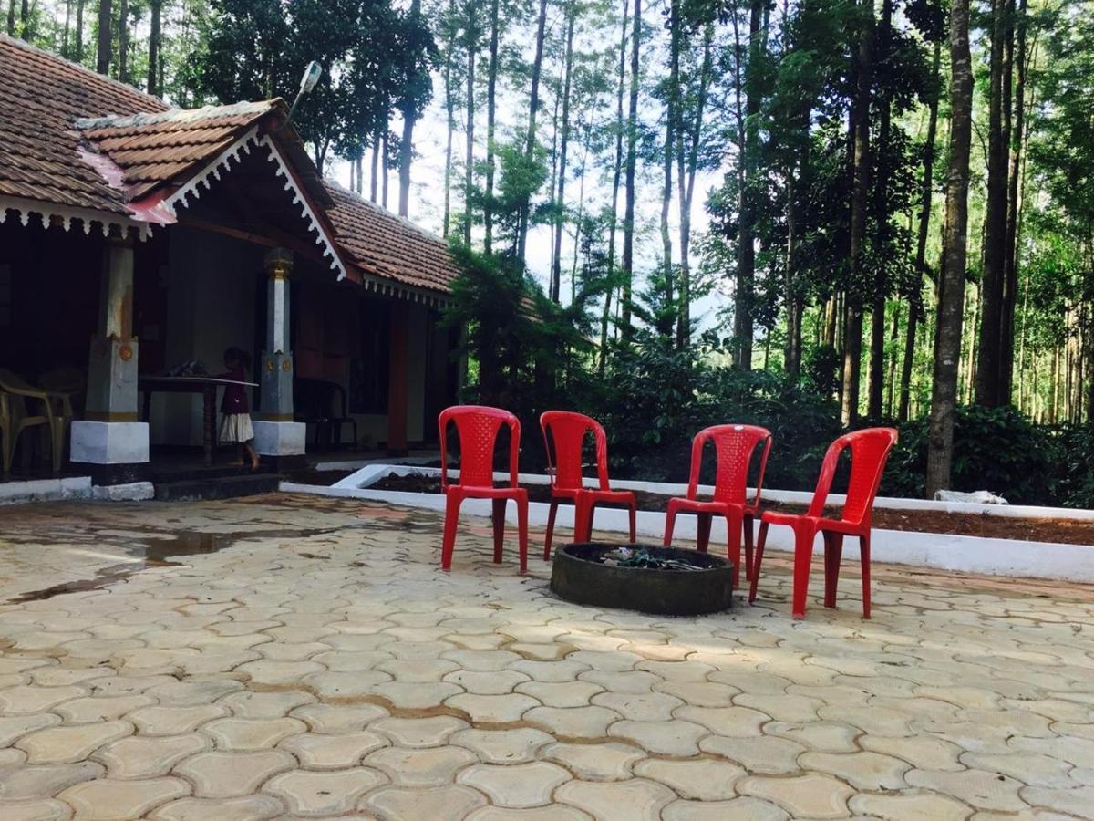 Silver Shadow Homestay Chikmagalūr Esterno foto