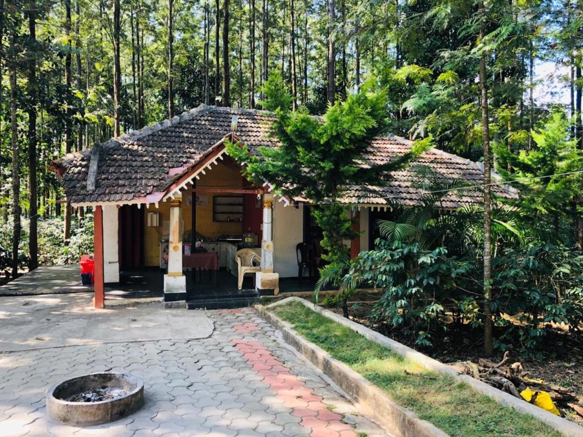 Silver Shadow Homestay Chikmagalūr Esterno foto