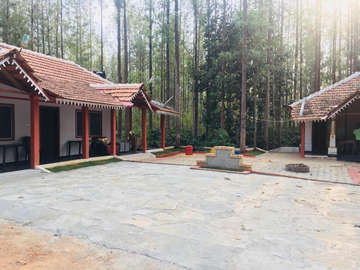 Silver Shadow Homestay Chikmagalūr Esterno foto