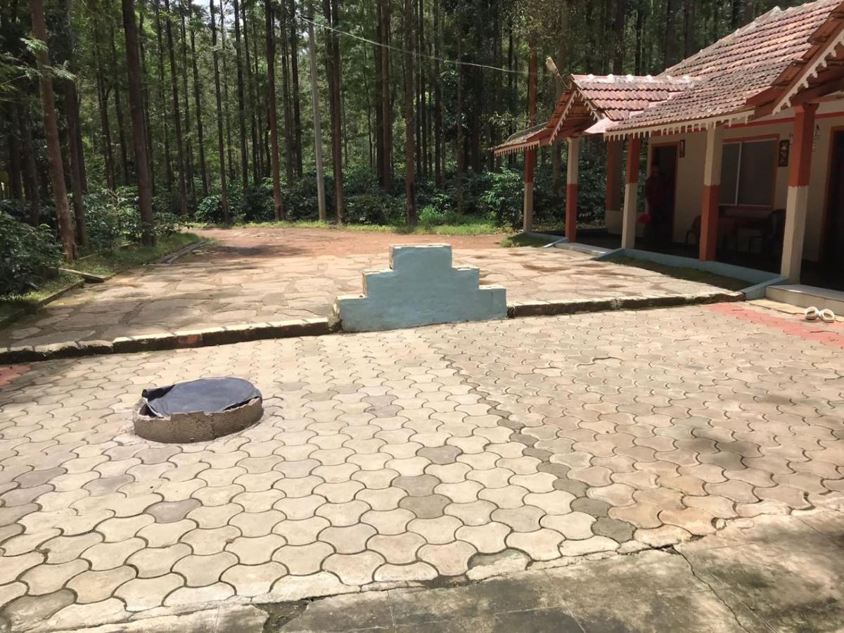 Silver Shadow Homestay Chikmagalūr Esterno foto